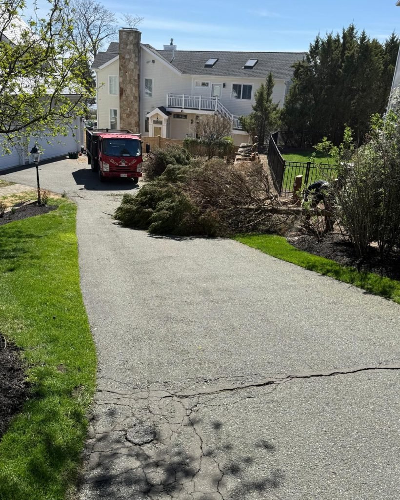 tree-services3